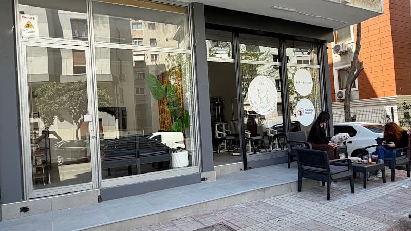 Academy of Pet Grooming — Kadıköy