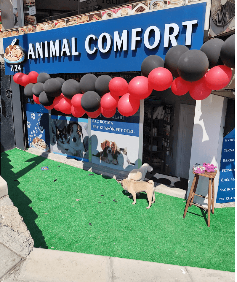 Animal Comfort - Şişli Pet Kuaför & Otel" — Sarıyer