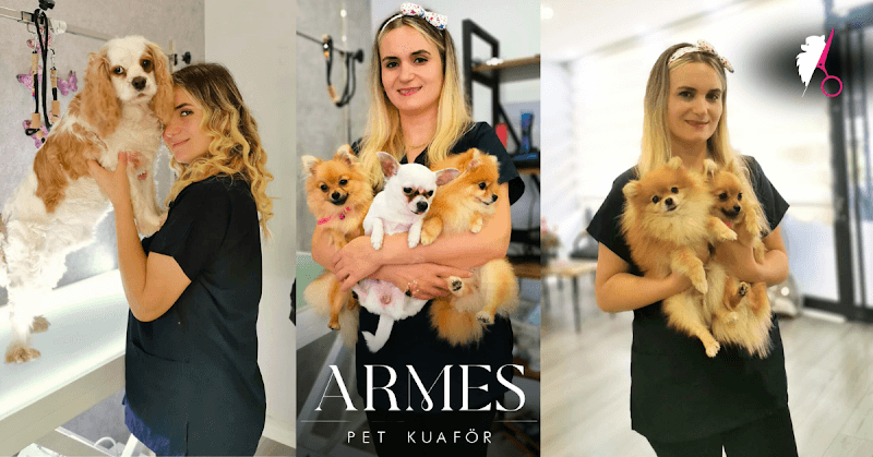 Armes Pet Kuaför — Maltepe