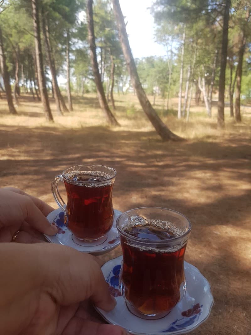 Atatürk Orman Çiftliği — Bahçelievler