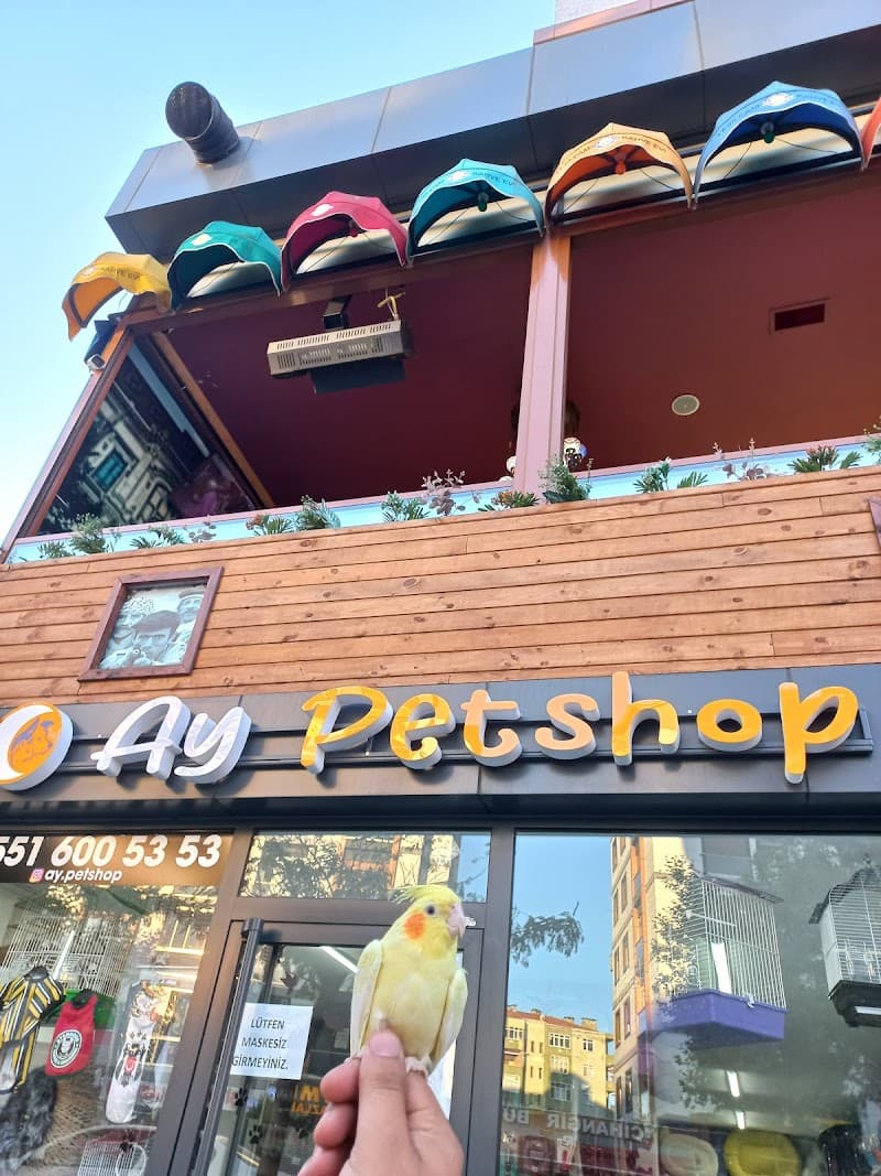 AY PETSHOP PETKUAFÖR EVCİL HAYVAN MAĞAZASI PENDİK PETSHOP TUZLA PETSHOP KAYNARCA PETSHOP — Pendik