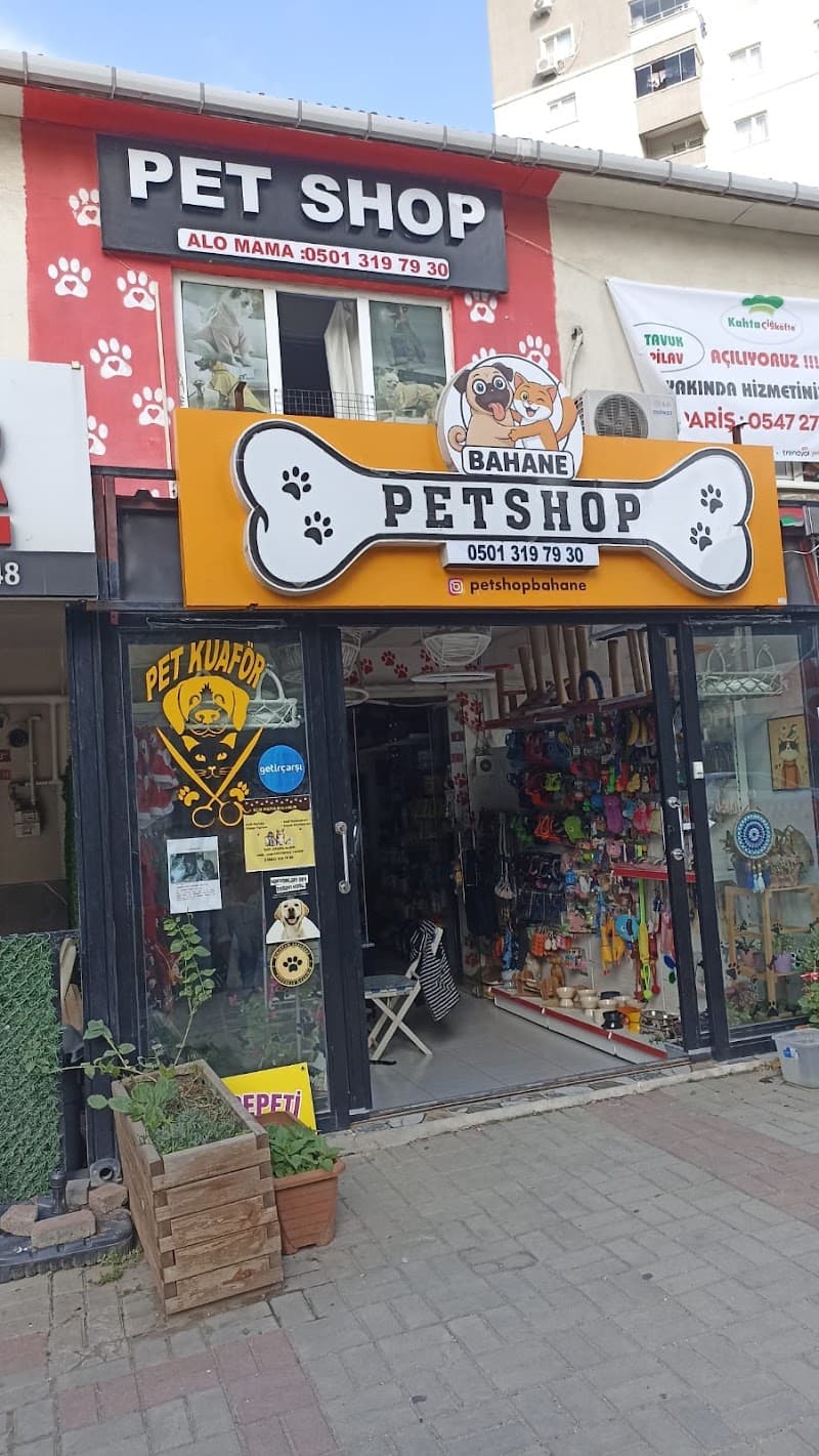 BAHANE PET KUAFÖR & PETSHOP — Beylikdüzü