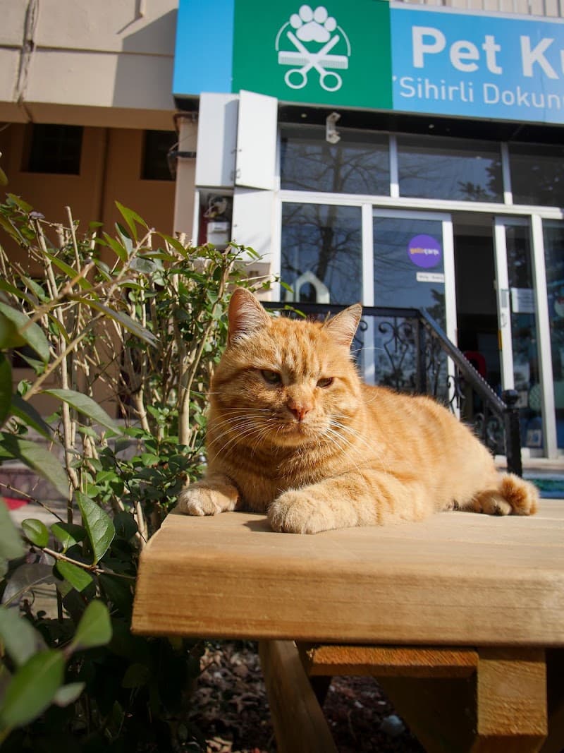 Bahçeşehir PetShop&PetKuaför — Başakşehir