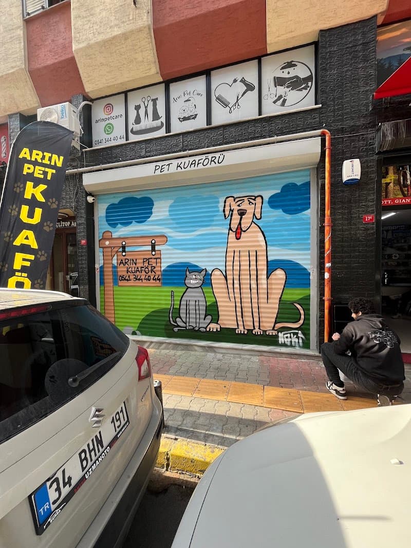 BAKIRKÖY ARIN PET KUAFÖR | Anestezisiz Kedi ve Köpek Tıraşı | — Bakırköy