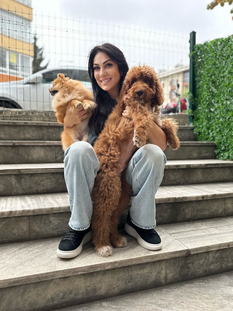BAKIRKÖY PETLOUNGE. PET KUAFÖR &PETSHOP — Zeytinburnu