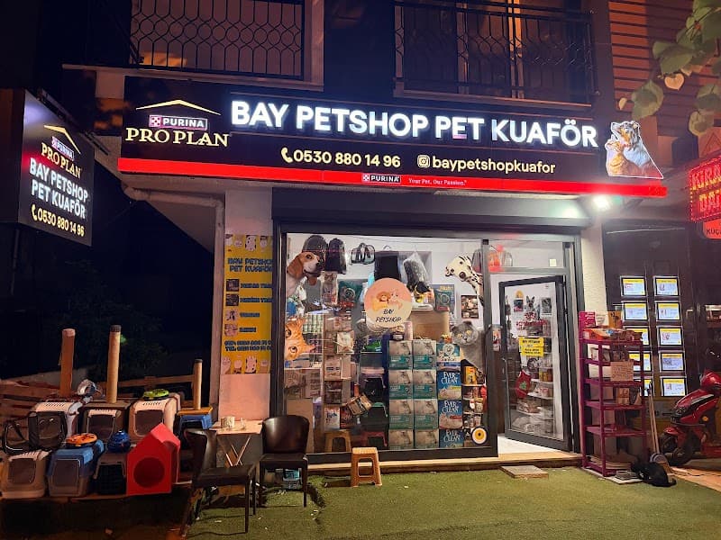 Bay Petshop Pet Kuaför — Küçükçekmece