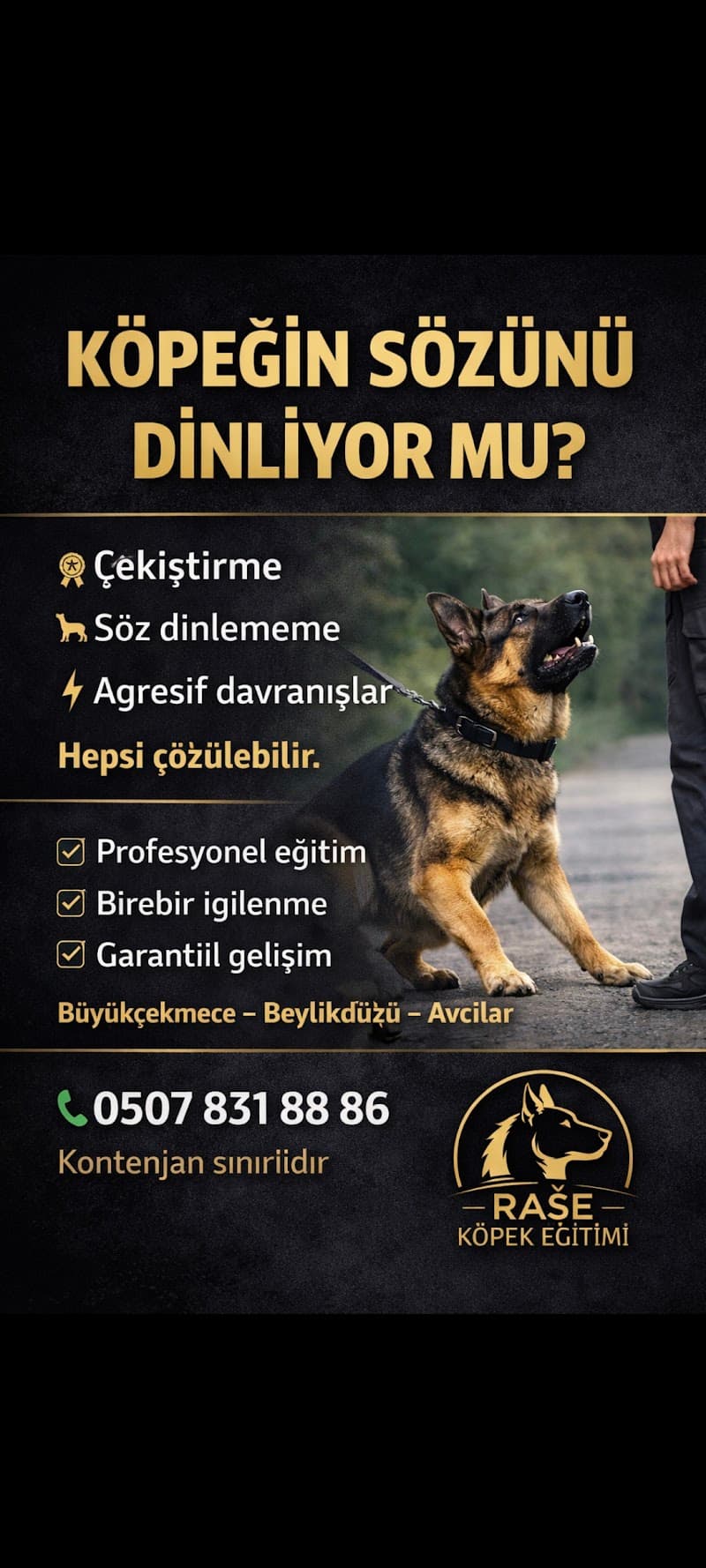 Beylikdüzü köpek eğitim ve otel — Beylikdüzü