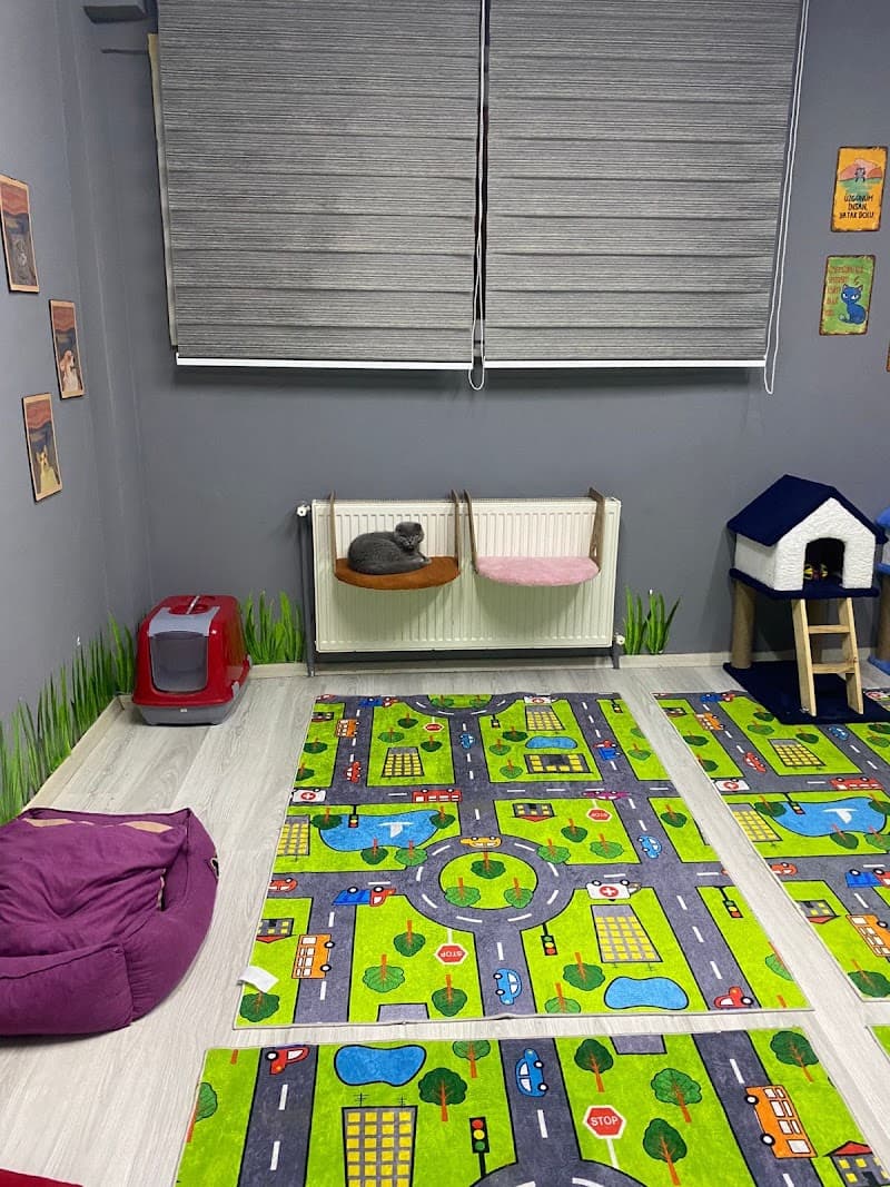 Bomonti Pet Otel — Kağıthane