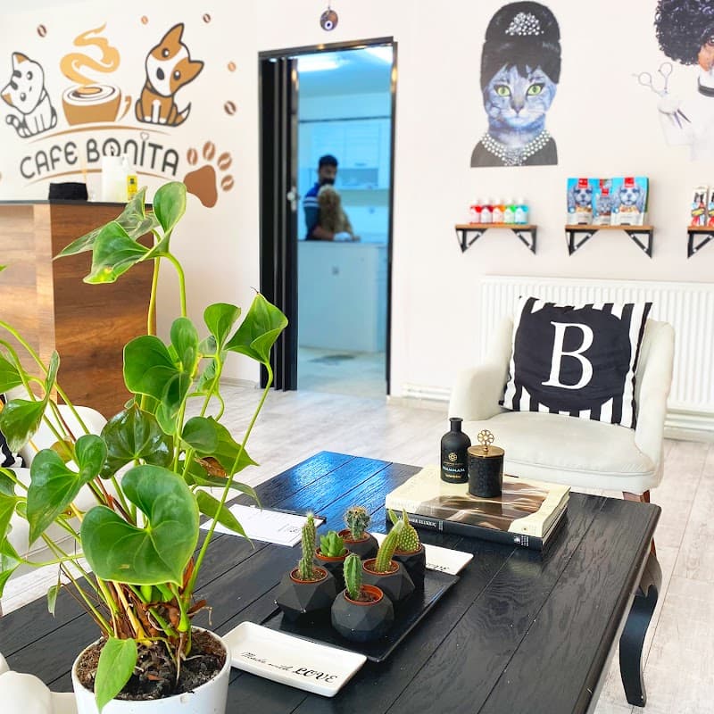 BONİTA PET KUAFÖR VE PET SHOP / ÇEKMEKÖY — Çekmeköy