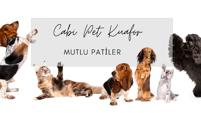 Cabi Pet Kuaför — Kartal