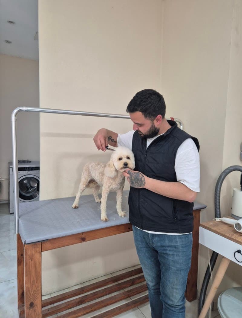 Çapili Pet Kuaför — Büyükçekmece