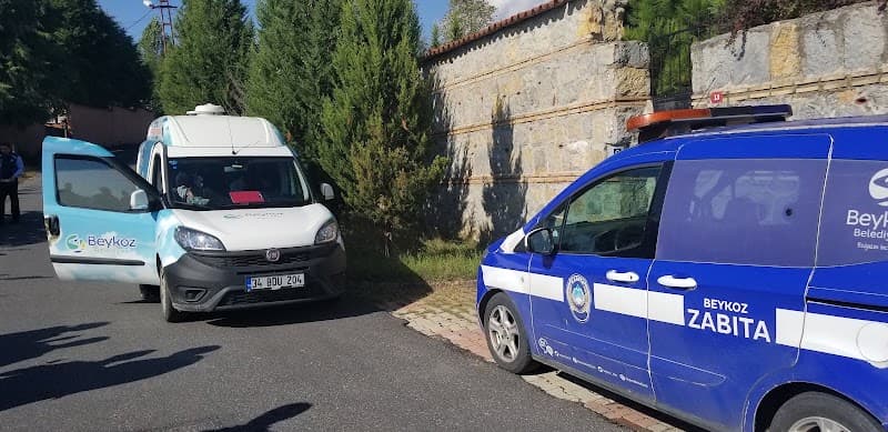 Cesur K9 Köpek Eğitim Merkezi ve Oteli — Beykoz