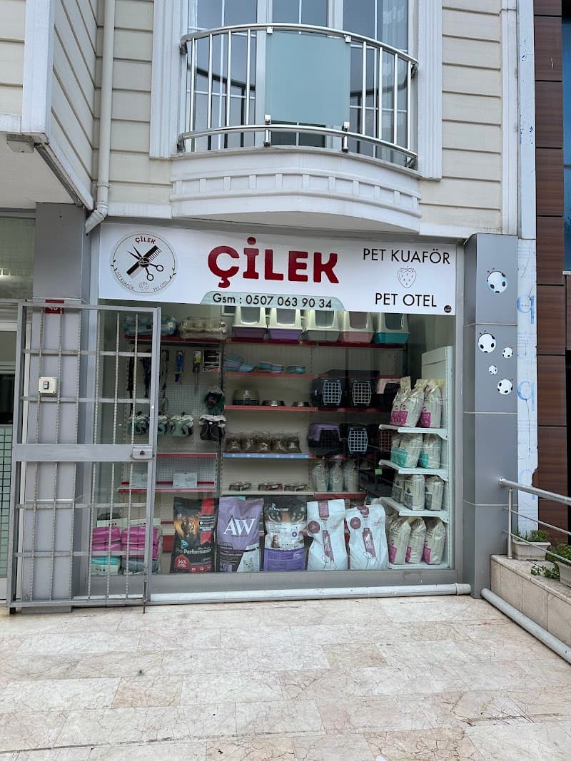 Çilek Pet Kuaför & Pet Otel — Kartal
