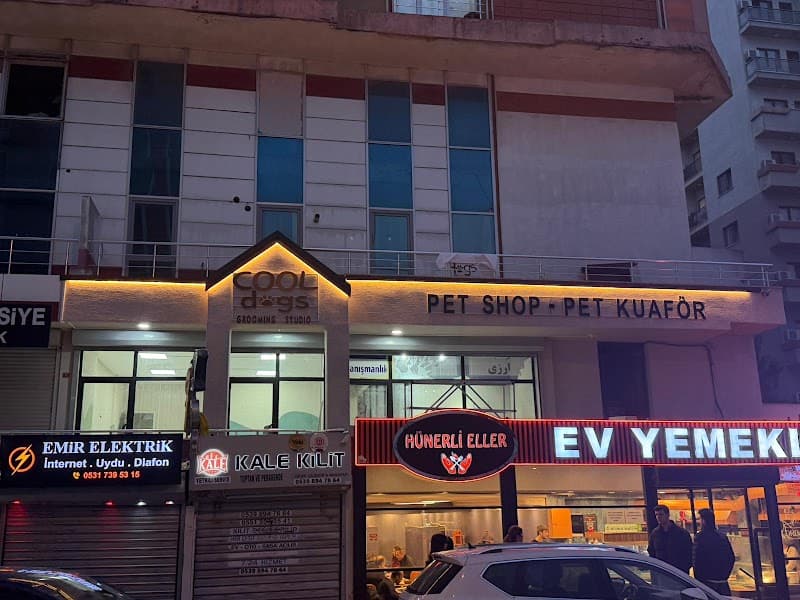 Cool Dogs Pet Shop & Pet Kuaför — Beylikdüzü