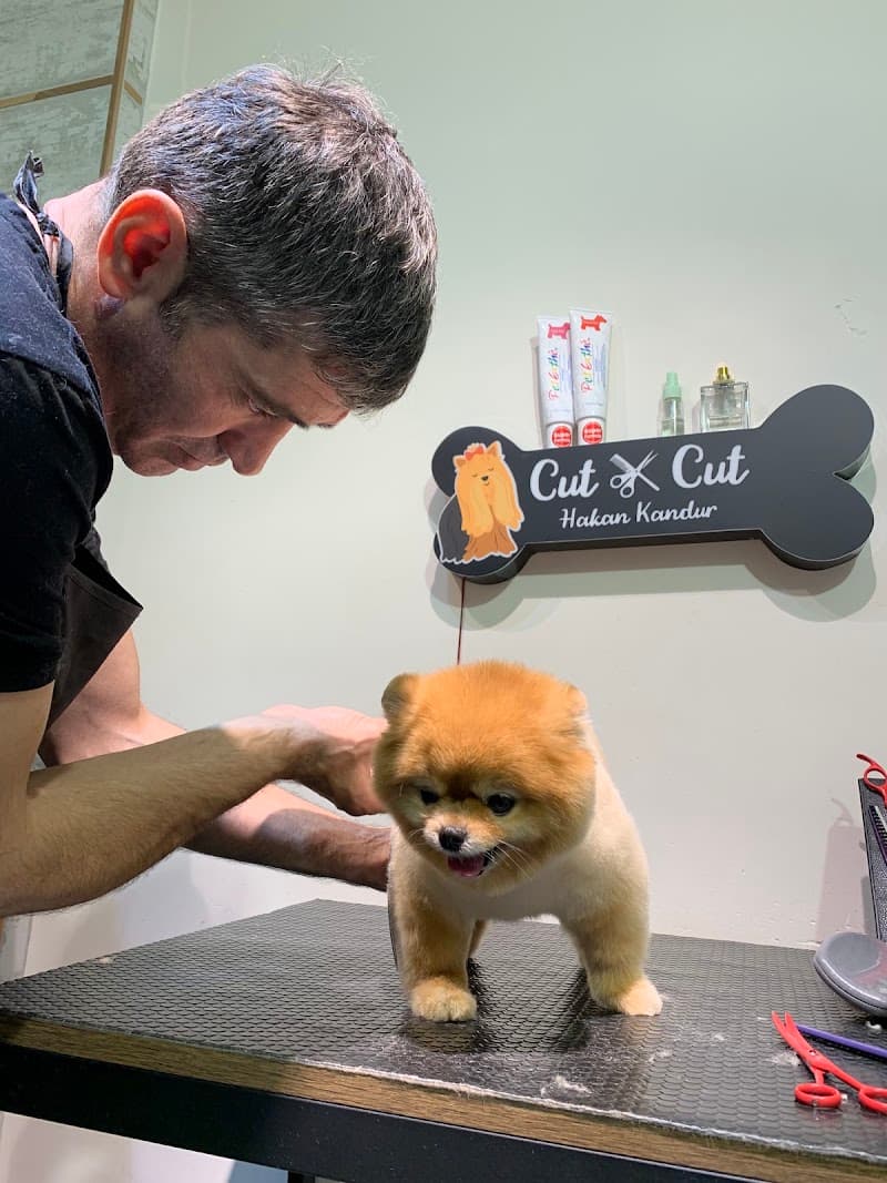 Cut Cut Pet Kuaförü&Shop — Beşiktaş