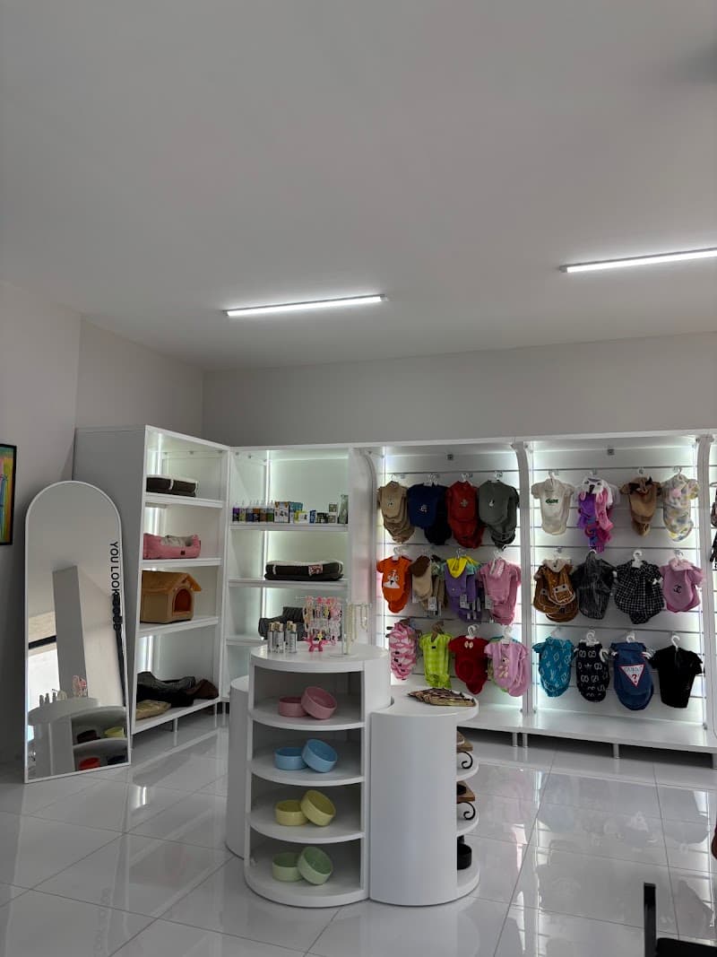 Dancing Dog Grooming Studio — Tuzla