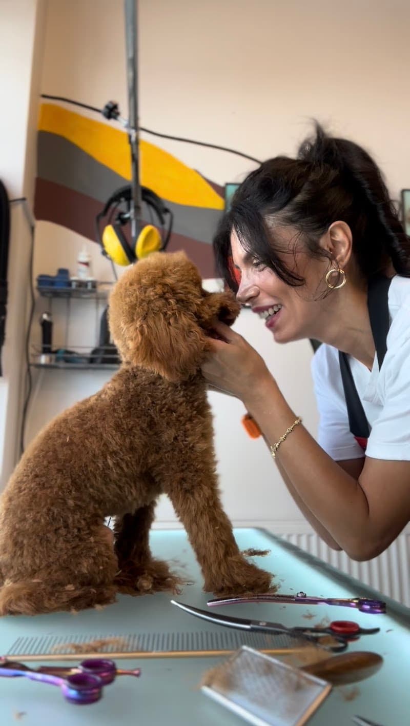 Dobby Pet Kuaför — Bakırköy