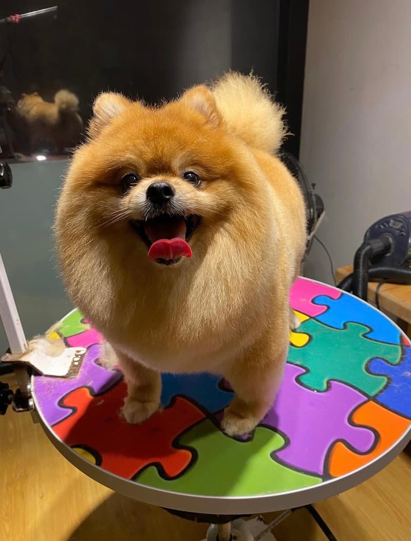 Egoistpatiler petshop & Pet Kuaför — Beylikdüzü