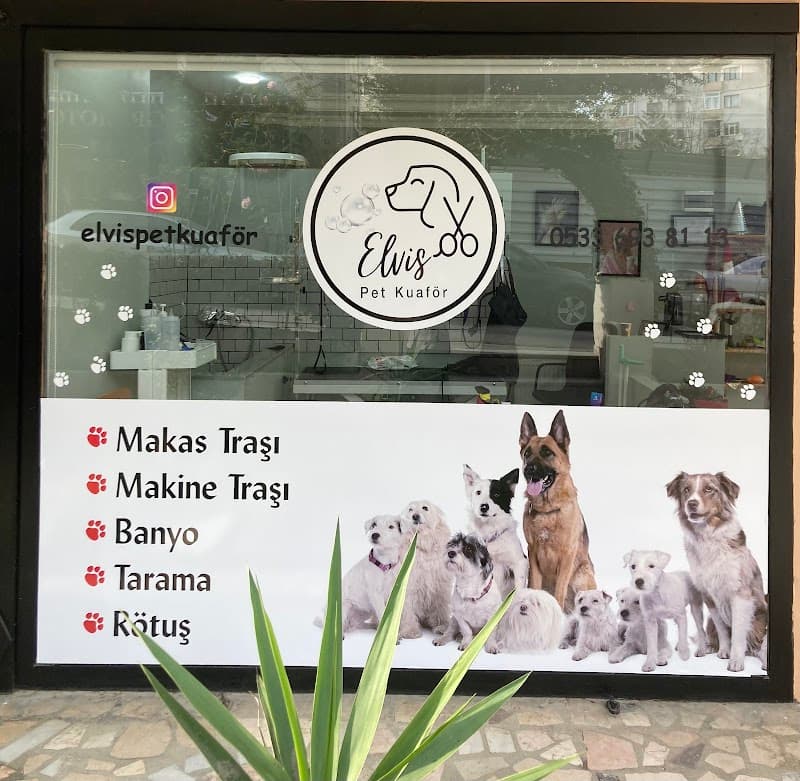 Elvis Pet Kuaför Kadıköy — Üsküdar