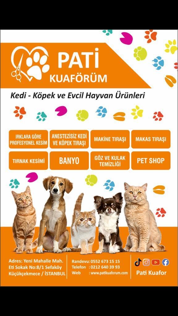 Evcil Hayvan Kuaförü — Küçükçekmece