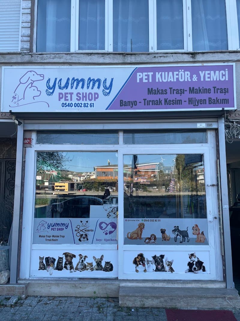 Groomer Bilal & PetKuaför — Büyükçekmece