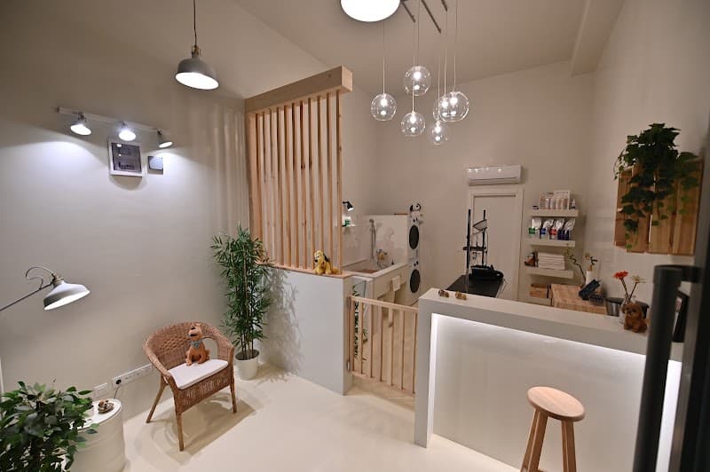 Groomer Bone | Caddebostan Profesyonel Pet Kuaför — Kadıköy