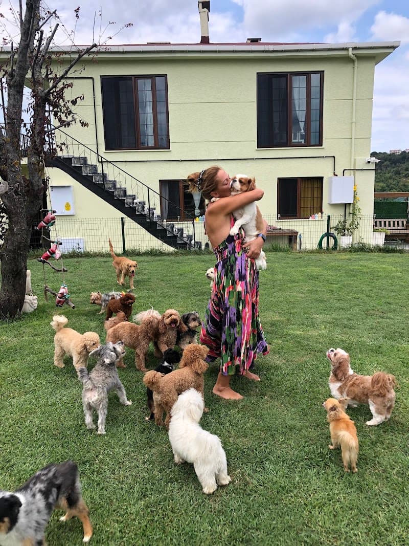 Hacer Gani Mutlu Köpek Oteli — Beykoz