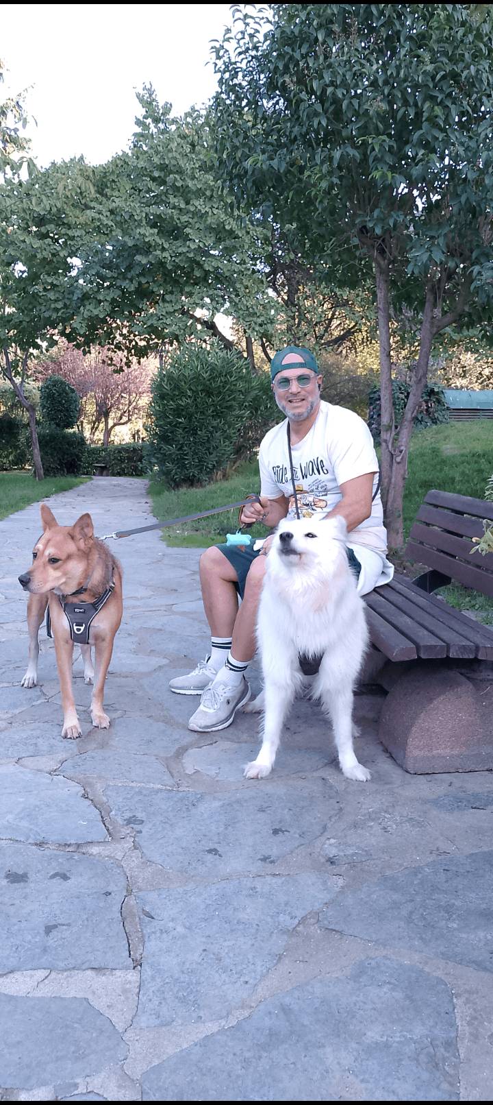 Happy our friends köpek oteli ve köpek bakımı — Kadıköy