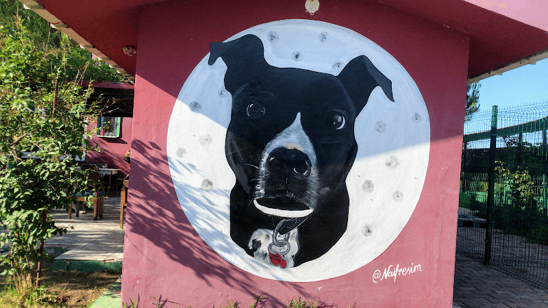 Hasdal Pet Otel — Arnavutköy