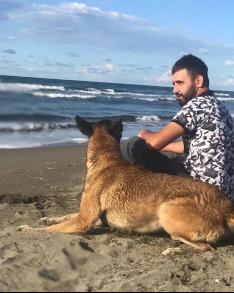 İstanbul köpek eğitim merkezi ve oteli — Büyükçekmece