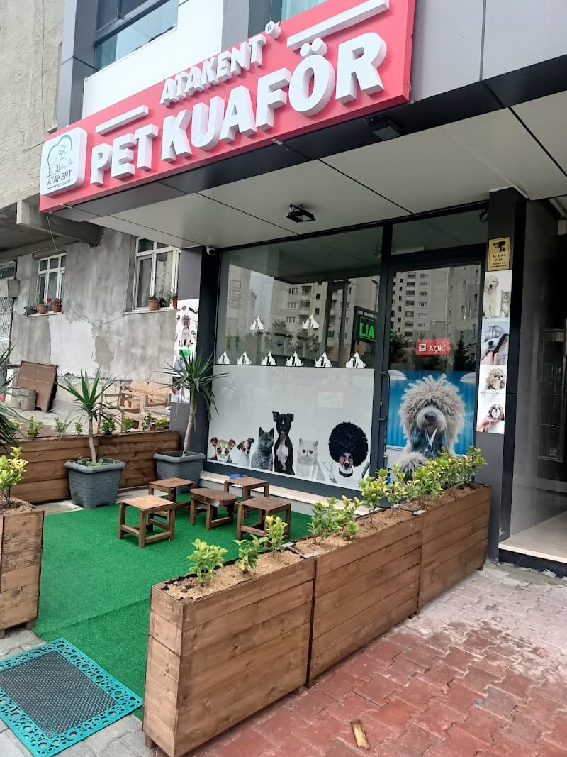 İstanbul Pet Kuaför ATAKENT PET KUAFÖR - İstanbul Anestezisiz Kedi Tıraşı - İstanbul Köpek Tıraşı — Küçükçekmece