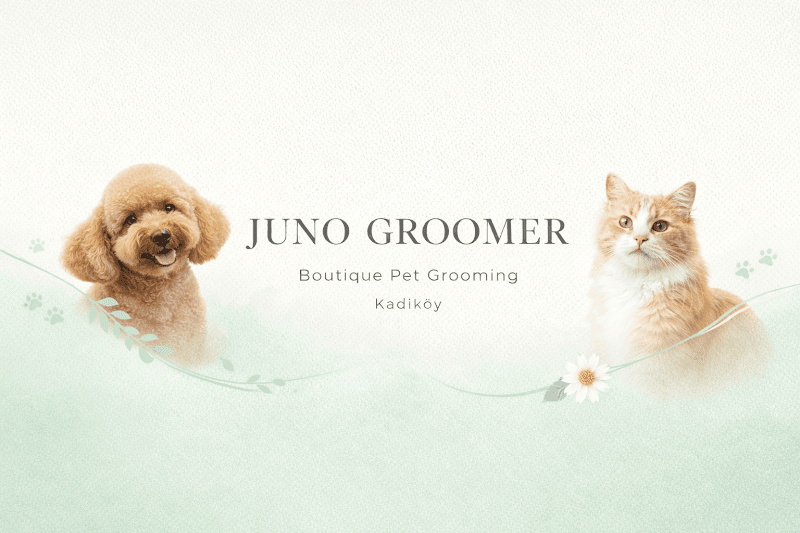Juno Groomer | Pet Kuaför & Ozon-Spa — Kadıköy