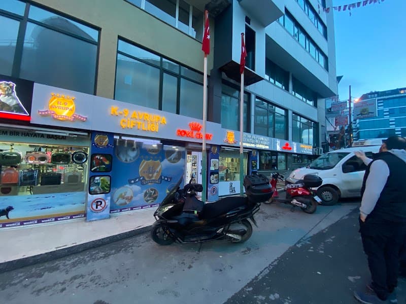 K9 Avrupa Evcil Hayvan Çiftliği — Kağıthane