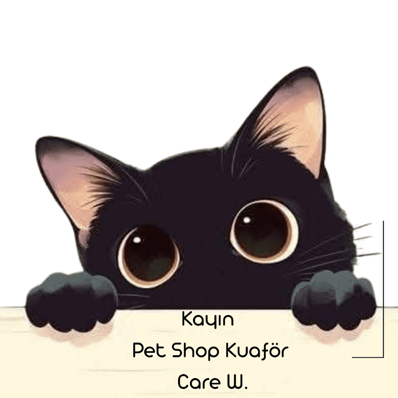 Kayın Pet Shop | Pet Kuaför Care W. Bahçeşehir / Başakşehir — Başakşehir