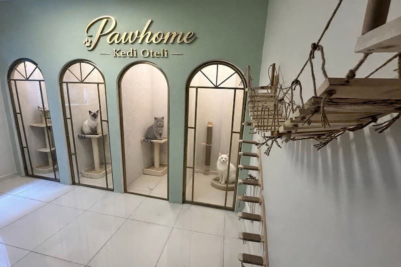 Kedi Oteli Paw Home Küçükçekmece Halkalı — Küçükçekmece