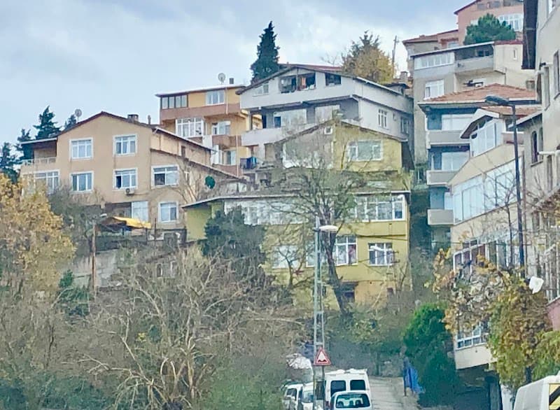 Kedi Pansiyonu — Üsküdar