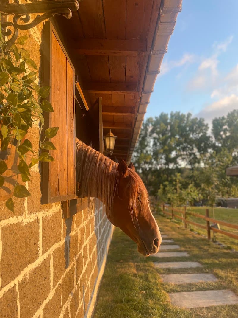 Kerem Bey At Çiftliği — Sarıyer