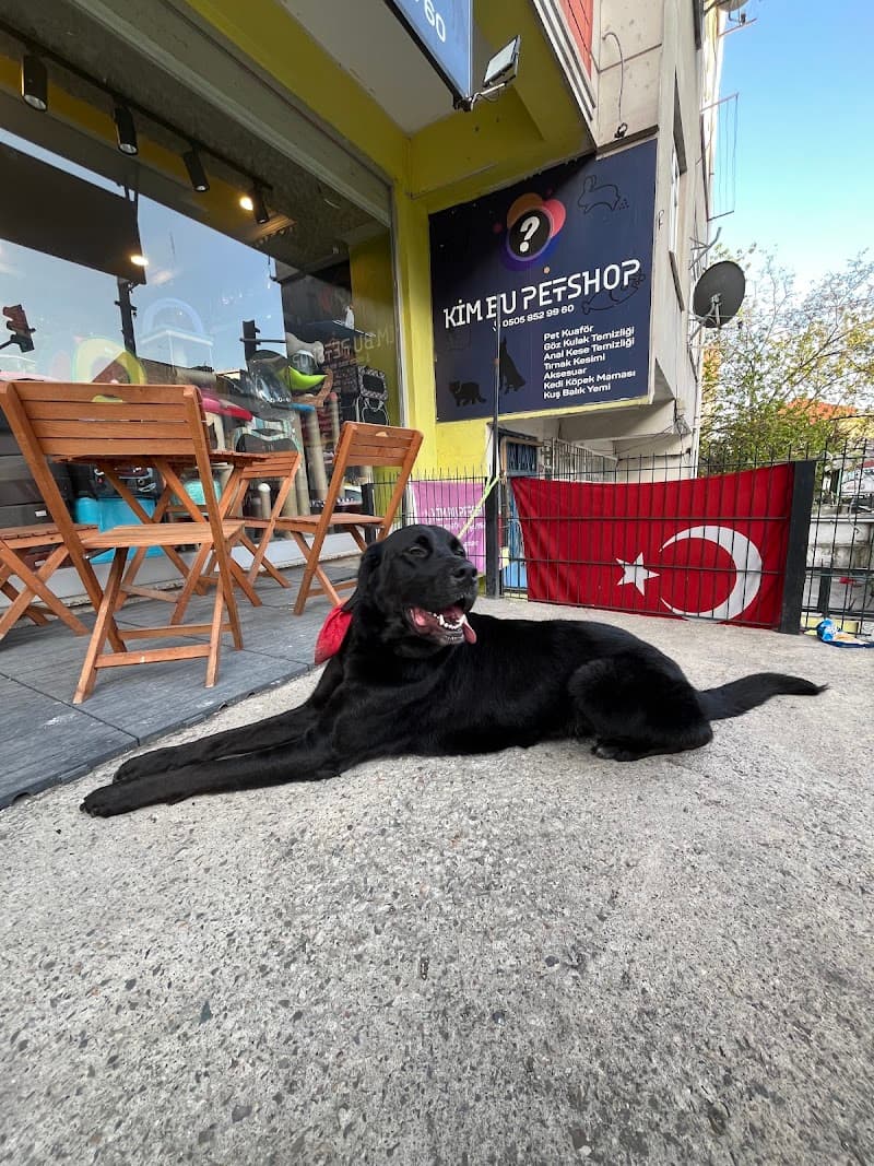 KİM BU Petshop & Pet Kuaför — Ataşehir