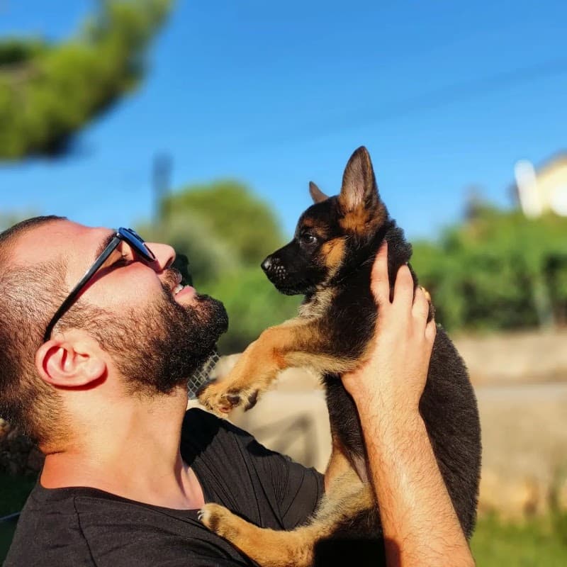 Köpek Eğitimi Merkezi - Pet Oteli ve Pansiyon Çiftliği - Köpek Eğitmeni Murat Güngör İstanbul — Arnavutköy