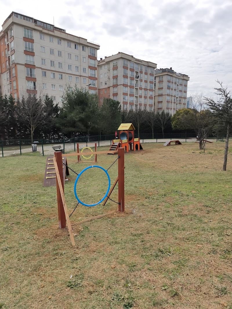 Köpek park eğitim parkuru — Pendik