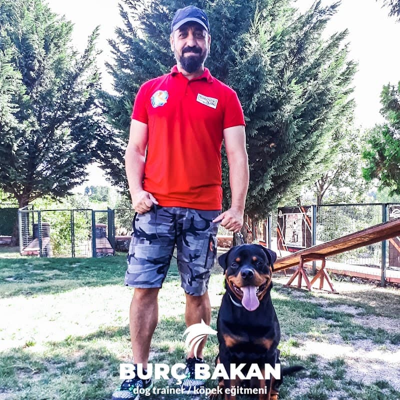 Kopekeğitimi — Kadıköy