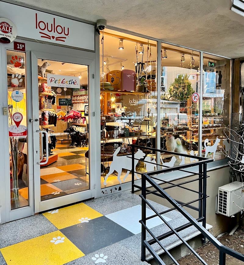 LOULOU PET KUAFÖRÜ & SPA - PET GROOMING AKADEMİ & KÖPEK MANKENLERİ — Ataşehir