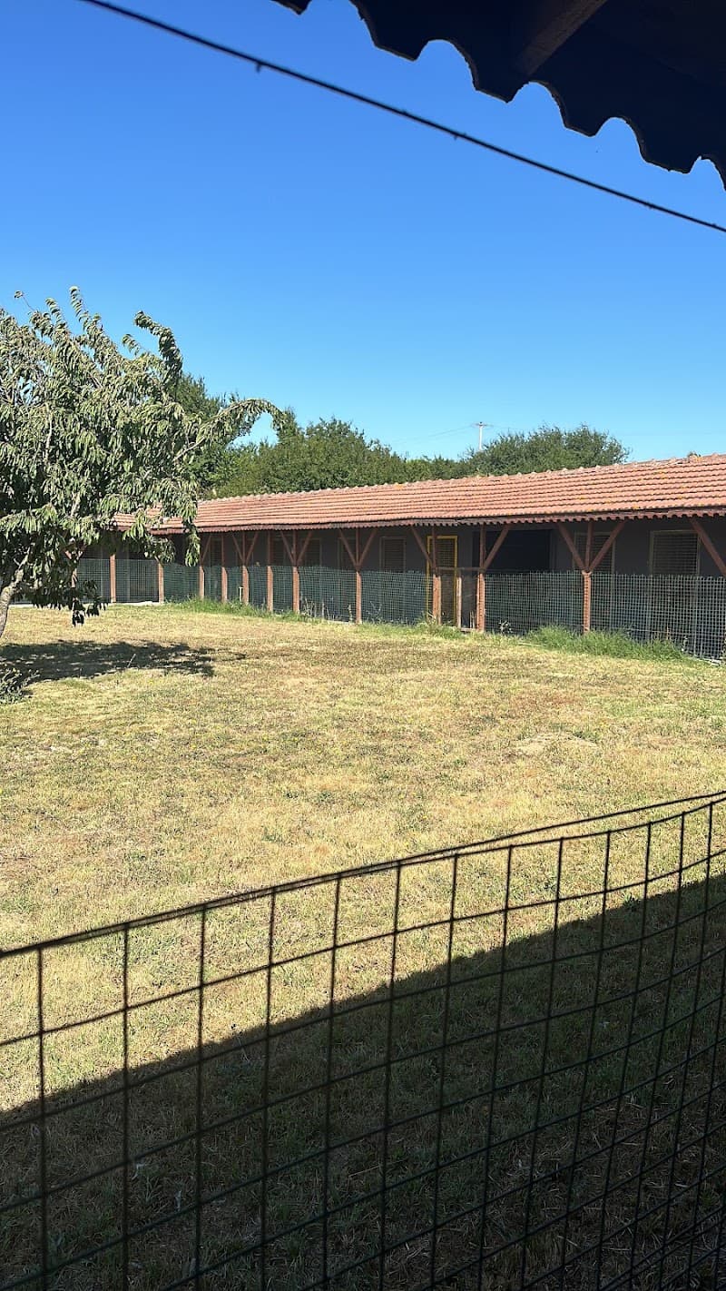 MEGADOG KÖPEK EĞİTİM MERKEZİ & PANSİYON — Çatalca