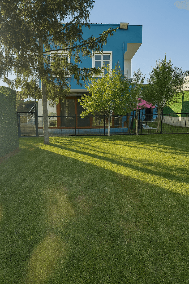 Mika Pet Kuaför - Pet Hotel Kreş — Kadıköy