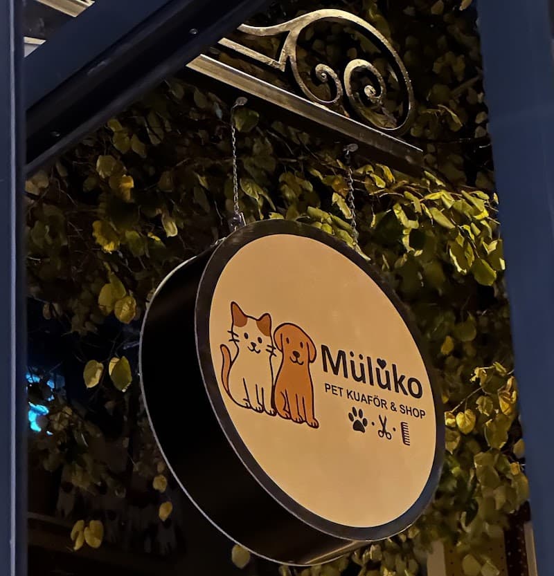 Mülüko Pet Kuaför — Ümraniye