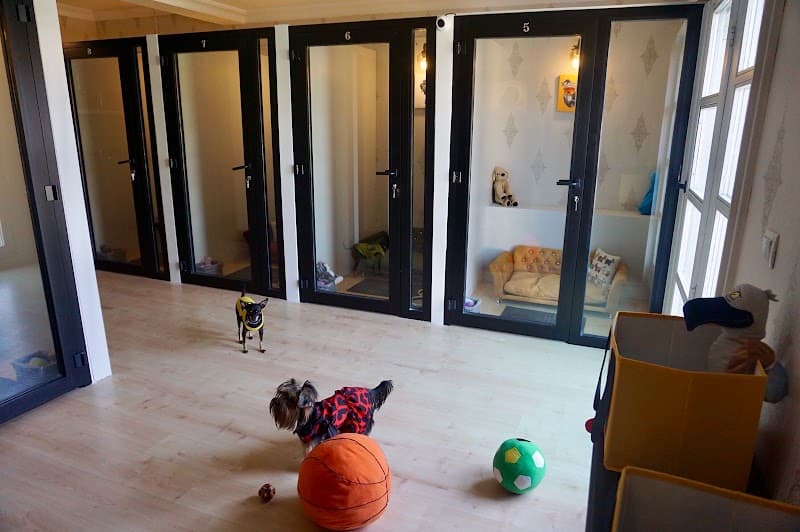My Sweet Home Pet Otel & Kreş — Başakşehir