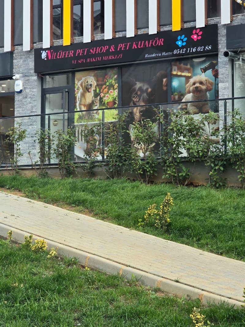 Nilüfer Petshop & Pet Kuaför ve Spa Bakım Merkezi — Pendik