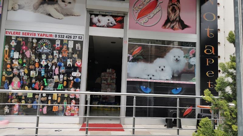 Nota Pet Center & NOTA PET KUAFÖR PET COİFFEUR — Ataşehir