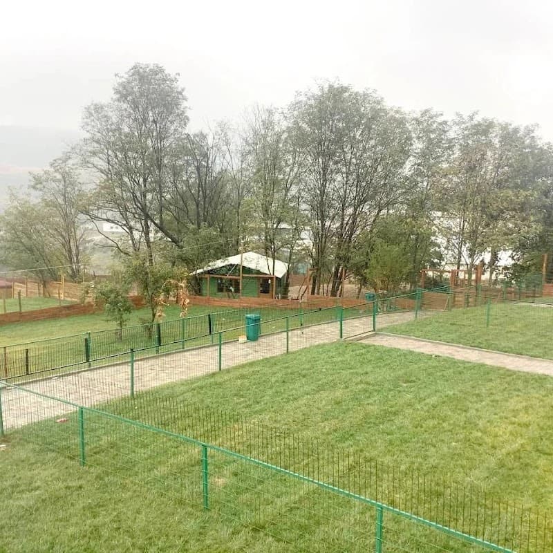 Pati Rüyası — Maltepe