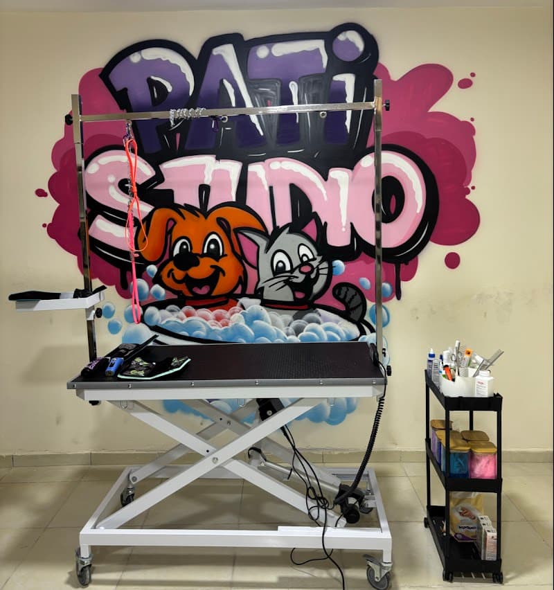 Pati Studio Pet Kuaför / Pet shop Beylikdüzü — Beylikdüzü